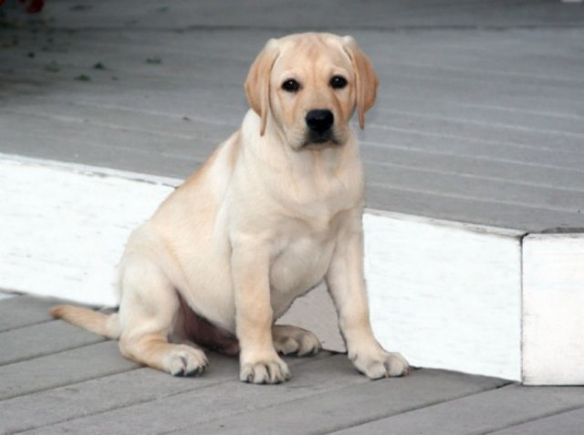 cody3.jpg