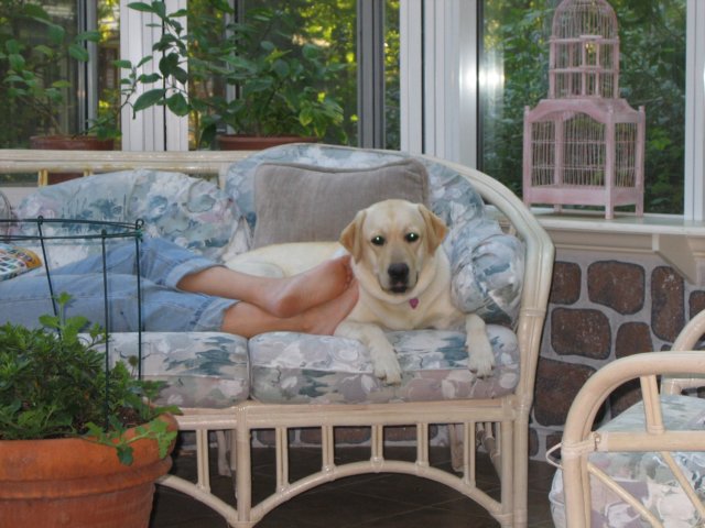 sophie.jpg