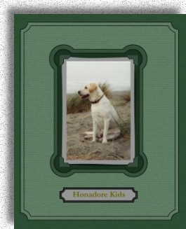Honador Labrador Kids