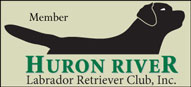 Huron River Labrador Retriever Club